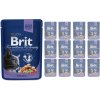Brit Premium Cat Cod Fish 12 x 100 g