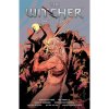 Dark Horse Witcher Omnibus 3 Dark Horse Witcher Omnibus 3