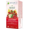 MEGAFYT Bylinková lekáreň Obličky s brusnicou porciovaný čaj 20 x 1,5 g MEGAFYT Bylinková lekáreň Obličky s brusnicou porciovaný čaj 20 x 1,5 g