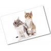Kuchynská doska zo skla Dve malé mačky 80x52 cm Kuchynská doska zo skla Dve malé mačky 80x52 cm
