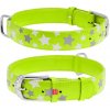 kožný obojok reflexný a svietiaci fosforeskujúci zelený s hviezdičkami Obvod krku: 19-25cm, šírka: 9mm kožný obojok reflexný a svietiaci fosforeskujúci zelený s hviezdičkami Obvod krku: 19-25cm, šírka: 9mm
