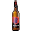 Kaltenecker Yakima IPA 13° 0,33 l (sklo) Kaltenecker Yakima IPA 13° 0,33 l (sklo)