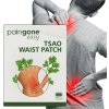 Bylinné náplasti na úľavu od bolesti chrbta Tsao Waist Patch, 10 ks Bylinné náplasti na úľavu od bolesti chrbta Tsao Waist Patch, 10 ks