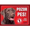Juko Plastová tabuľa Pozor Pes Labrador hnedý 21 x 14,7 cm Juko Plastová tabuľa Pozor Pes Labrador hnedý 21 x 14,7 cm