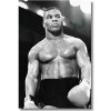 Mike Tyson obraz Mike Tyson obraz