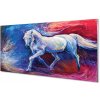 Nástenný panel kôň 100x50 cm Nástenný panel kôň 100x50 cm