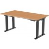DELSO Elektrický výškovo nastaviteľný stôl STABLER PRO - 160 cm, 70 cm, Čierna, Buk DELSO Elektrický výškovo nastaviteľný stôl STABLER PRO - 160 cm, 70 cm, Čierna, Buk