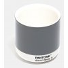 Pantone Cool Gray 9 175 ml