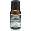 10 ml Rozmarín Esenciálny Olej 10 ml Rozmarín Esenciálny Olej