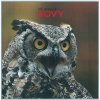 Sovy - Jiří Bednář
