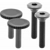 Peak Design Sada šroubů Bolt Black pro rukojeti Capture v3 Peak Design Sada šroubů Bolt Black pro rukojeti Capture v3