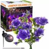 Interlook FLD-27-PURPLE | Begonia LED solárne záhradné svietidlo | 60 cm, 600 mAh Interlook FLD-27-PURPLE | Begonia LED solárne záhradné svietidlo | 60 cm, 600 mAh