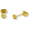 EXEED 236210 - Pozlátené náušnice z chirurgickej ocele krůžky pecky EXEED 236210 - Pozlátené náušnice z chirurgickej ocele krůžky pecky