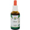 Salvia Paradise Konopí - Cannabis sativa AF tinktura 50 ml Salvia Paradise Konopí - Cannabis sativa AF tinktura 50 ml