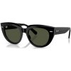 Ray-Ban RB2286 901 31