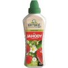 NATURA Prírodné hnojivo pre jahody a drobné ovocie 1 l NATURA Prírodné hnojivo pre jahody a drobné ovocie 1 l