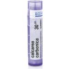 Calcarea Carbonica gra.1 x 4 g 30CH Calcarea Carbonica gra.1 x 4 g 30CH