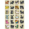 DETOA Pexeso zvieratká a ich tiene drevo spoločenská hra 12ks v krabičke 16,5x12,5x1,5cm Cena za 1ks