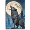 Vymalujsisam.sk Diamantové maľovanie - Vlk v noci Veľkosť: 20x30cm, Rám: Na kartónovej doske, Diamanty: Okrúhle Vymalujsisam.sk Diamantové maľovanie - Vlk v noci Veľkosť: 20x30cm, Rám: Na kartónovej doske, Diamanty: Okrúhle