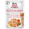 Brit Care Cat Fillets in Gravy with Tender Turkey & Savory Salmon 85g Brit Care Cat Fillets in Gravy with Tender Turkey & Savory Salmon 85g