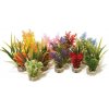 Sydeco Nano Fiesta Plants 14 cm Sydeco Nano Fiesta Plants 14 cm