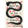 Meet Me at the Surface - Jodie Matthews Meet Me at the Surface - Jodie Matthews