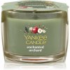 Yankee Candle Enchanted Orchard votívna sviečka glass 37 g Yankee Candle Enchanted Orchard votívna sviečka glass 37 g