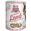 BRIT Care Cat Snack Superfruits lamb 100 g BRIT Care Cat Snack Superfruits lamb 100 g