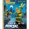 Skate Like a Ninja! (Teenage Mutant Ninja Turtles) Skate Like a Ninja! (Teenage Mutant Ninja Turtles)