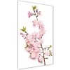 Vertikálny foto obraz sklenený Kvety višne 50x100 cm Vertikálny foto obraz sklenený Kvety višne 50x100 cm