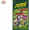 Rudbekia paradiso SM zmes Echinacea 12sem. Rudbekia paradiso SM zmes Echinacea 12sem.