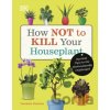 How Not to Kill Your Houseplant How Not to Kill Your Houseplant