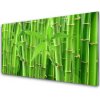 Obraz na skle Bambus stonka kvet rastlina 100x50 cm Obraz na skle Bambus stonka kvet rastlina 100x50 cm