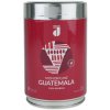 Danesi caffe Guatemala Monorigine 100% Arabica dóza 250g mletá káva Danesi caffe Guatemala Monorigine 100% Arabica dóza 250g mletá káva