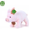 Rappa Plyšové prasa domáce stojace 20 cm ECO-FRIENDLY Rappa Plyšové prasa domáce stojace 20 cm ECO-FRIENDLY