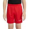 Nike Dry Academy 21 Short Junior CW6109-657 (66329) S Nike Dry Academy 21 Short Junior CW6109-657 (66329) S