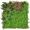 Umelá zelená stena G21 Listo Forest, 50x50 cm Umelá zelená stena G21 Listo Forest, 50x50 cm