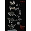 Why Cats Land on Their Feet (Levi)(Brožovaná) Why Cats Land on Their Feet (Levi)(Brožovaná)