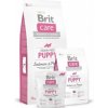 Brit Care Grain free Puppy Salmon & Potato 3kg Brit Brit Care Grain free Puppy Salmon & Potato 3kg Brit