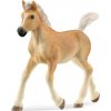 SCHLEICH Horse Club® 13951 Haflingerský kůň - hříbě SCHLEICH Horse Club® 13951 Haflingerský kůň - hříbě