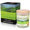 Sójová vonná eko sviečka LEMONGRASS PARFUMIA 250 ml Sójová vonná eko sviečka LEMONGRASS PARFUMIA 250 ml
