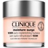 Clinique Moisture Surge 100H Auto-Replenishing Hydrator hydratačný gélový krém 75 ml Clinique Moisture Surge 100H Auto-Replenishing Hydrator hydratačný gélový krém 75 ml