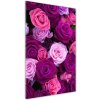 Vertikálny foto obraz sklo tvrdené Ružové ruže 50x100 cm Vertikálny foto obraz sklo tvrdené Ružové ruže 50x100 cm
