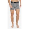 Smartwool Merino Boxer Brief Boxed Light Gray Heather