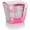 BARTEK CANDLES Vonná sviečka Peony royal pink 115g BARTEK CANDLES Vonná sviečka Peony royal pink 115g