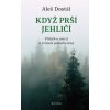 Když prší jehličí - Aleš Dostál Když prší jehličí - Aleš Dostál