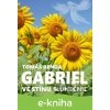 E-kniha Gabriel - Tomáš Benda E-kniha Gabriel - Tomáš Benda