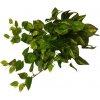 Dekorácia vetvička zelená Pothos 59cm Dekorácia vetvička zelená Pothos 59cm