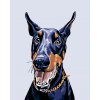 ZUTY Maľovanie podľa čísel - DOBERMAN Rámovanie: bez rámu a bez vypnutia plátna, Rozmer: 40x50 cm ZUTY Maľovanie podľa čísel - DOBERMAN Rámovanie: bez rámu a bez vypnutia plátna, Rozmer: 40x50 cm