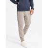 Ombre Men's knit joggers with pleats - ash krémová L Ombre 5902228977001 Ombre Men's knit joggers with pleats - ash krémová L Ombre 5902228977001